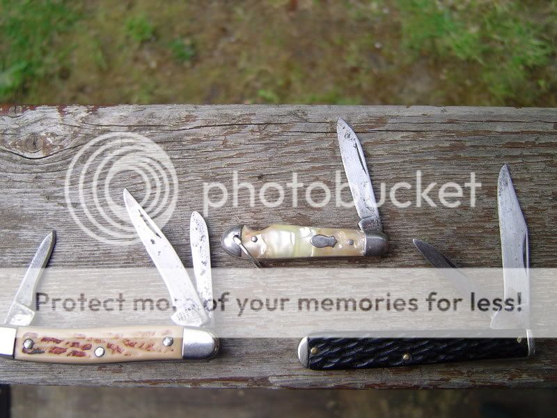 BreasPictures056.jpg