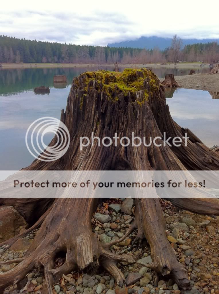 RattlesnakeLake24_zpsb08e3f24.jpg