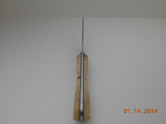 DSCN0684.jpg