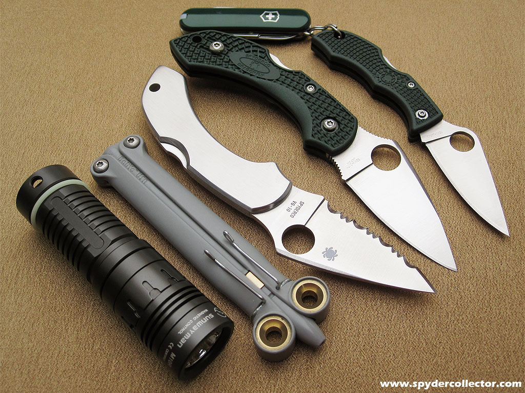 edc_april2012_dragonflyzdp.jpg