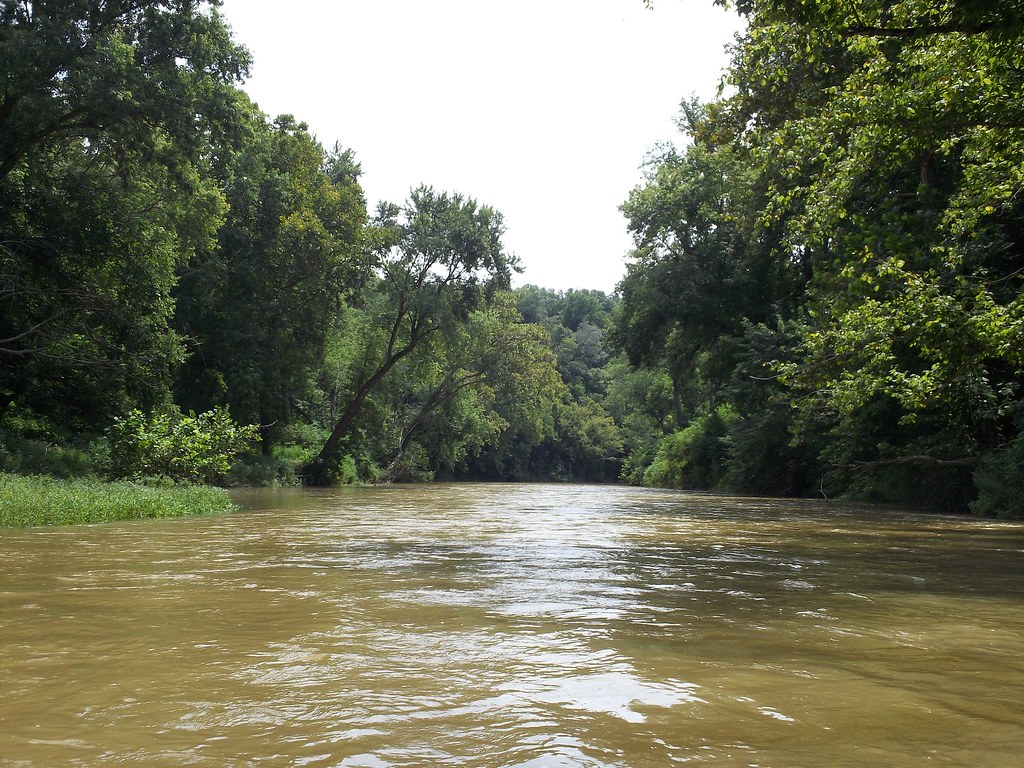 7811841072_9ea77214c1_b.jpg