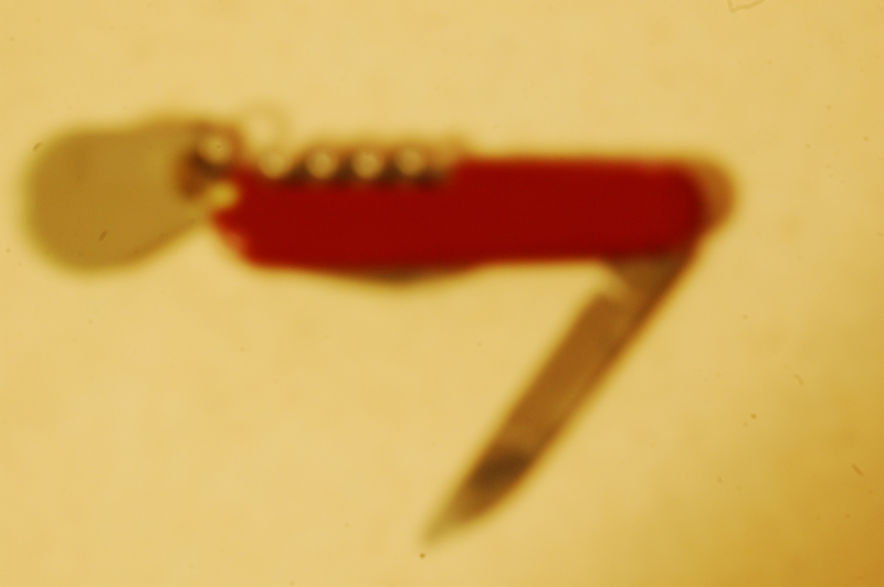 blurry1.jpg
