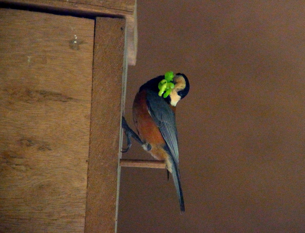 2012.04.22.R0012172.JPG