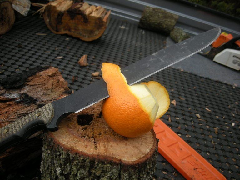 DSCN1029.jpg