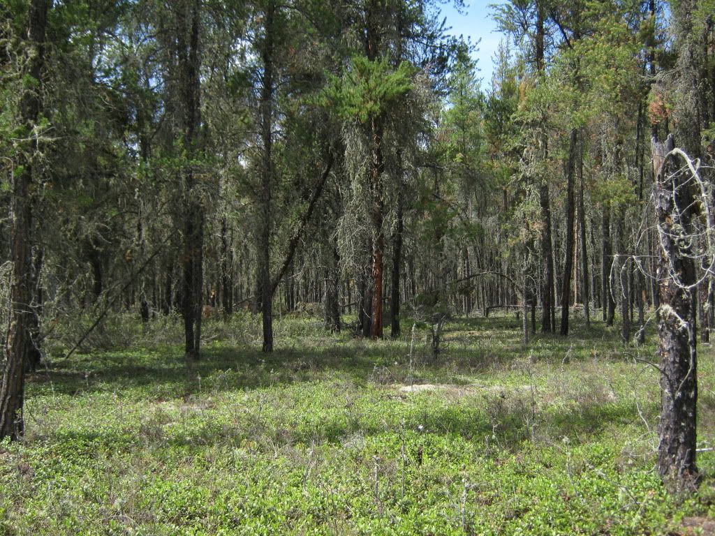 may-23-2010021.jpg