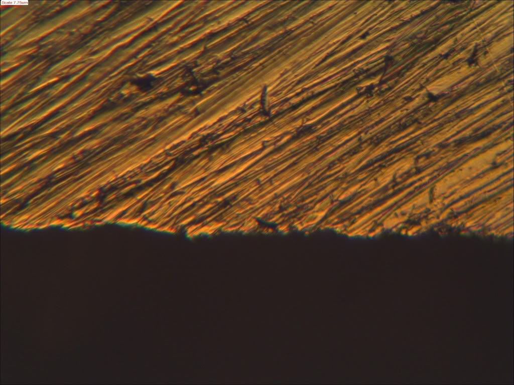 03_Mora640.jpg