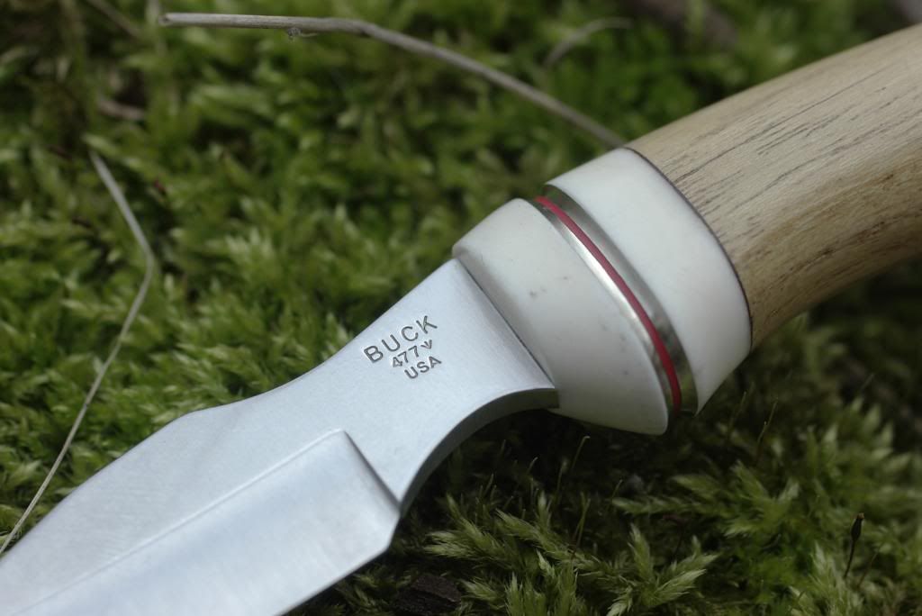 Buck477fertigAusschn.jpg