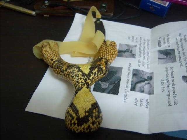 fireantdback002.jpg