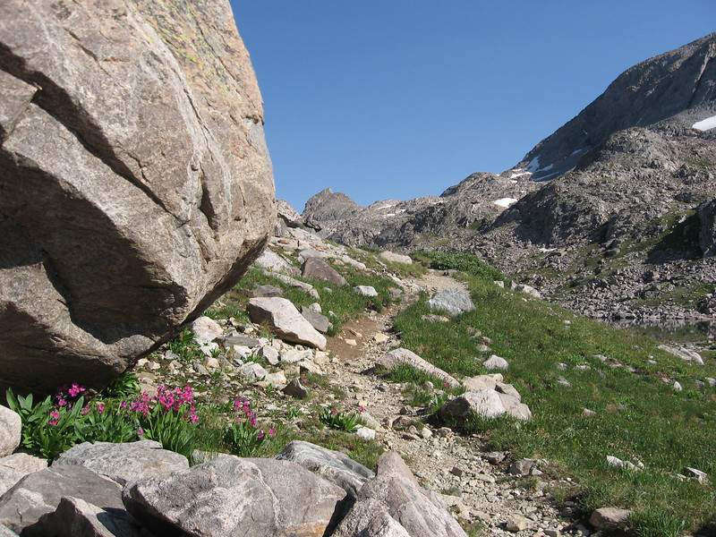 201449133_wXn2i-L.jpg