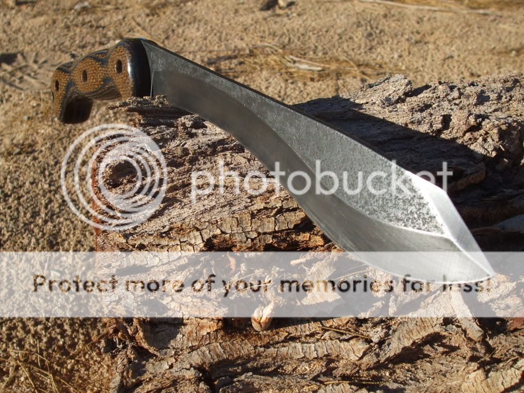 machax039.jpg
