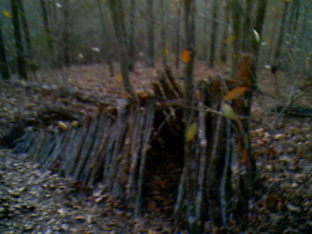 IMG00951.jpg