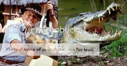 CrocodileDundeeCrocodileCombinedPic.jpg