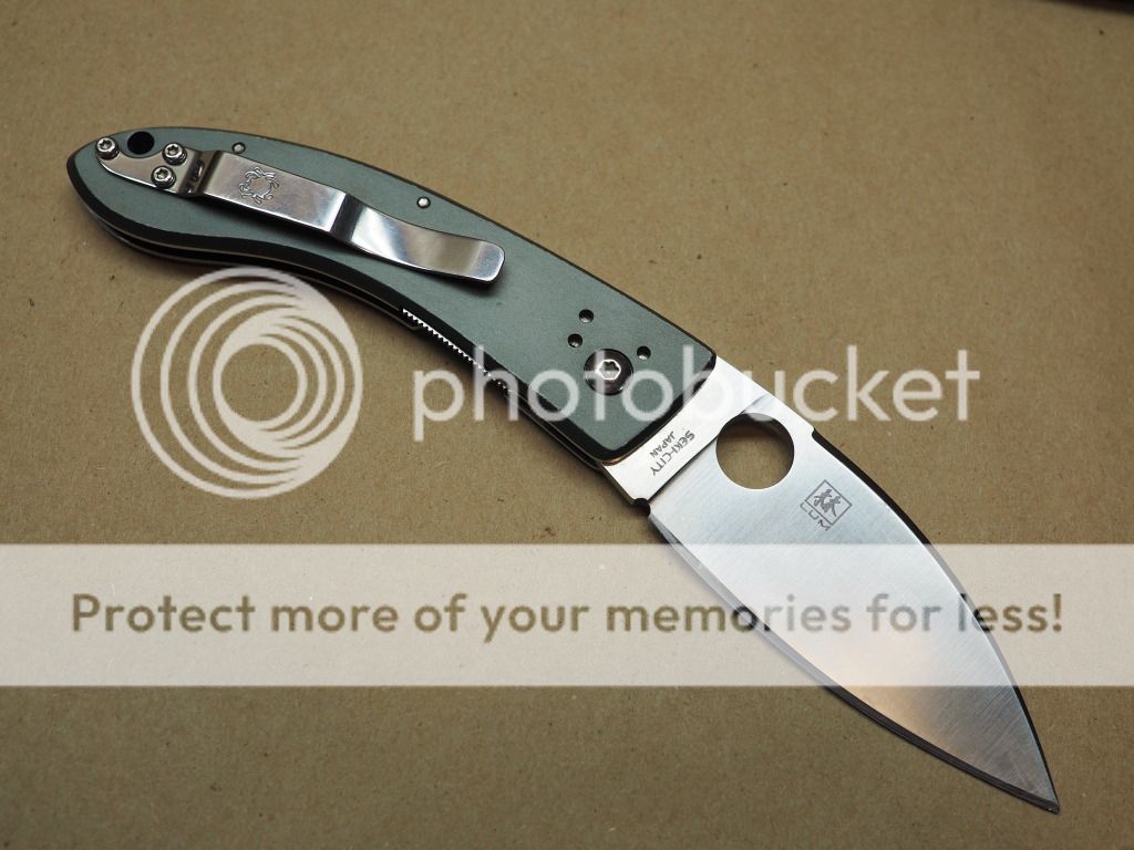 P1193786_zpsu12vwwhq.jpg