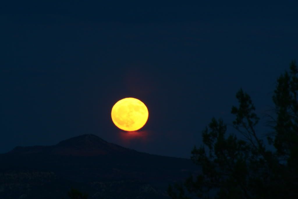 IMG_3060.jpg