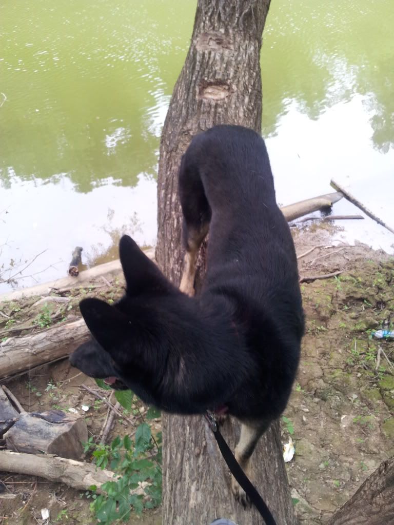 IMG_20120610_150339.jpg