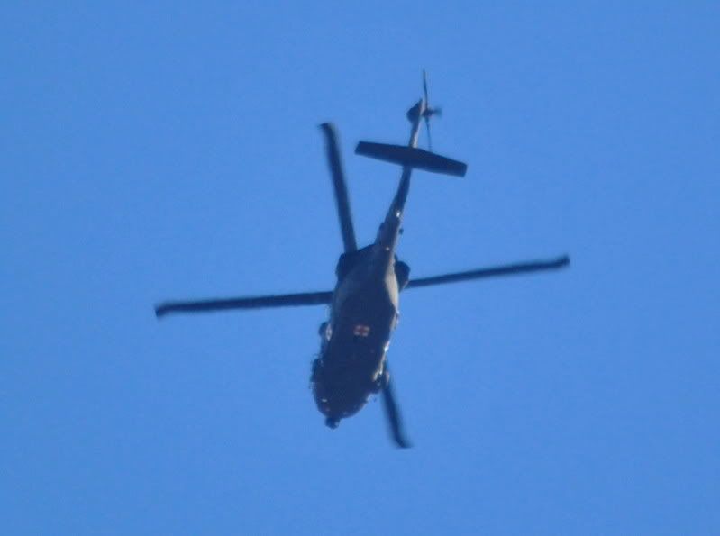 DSC_0140.jpg