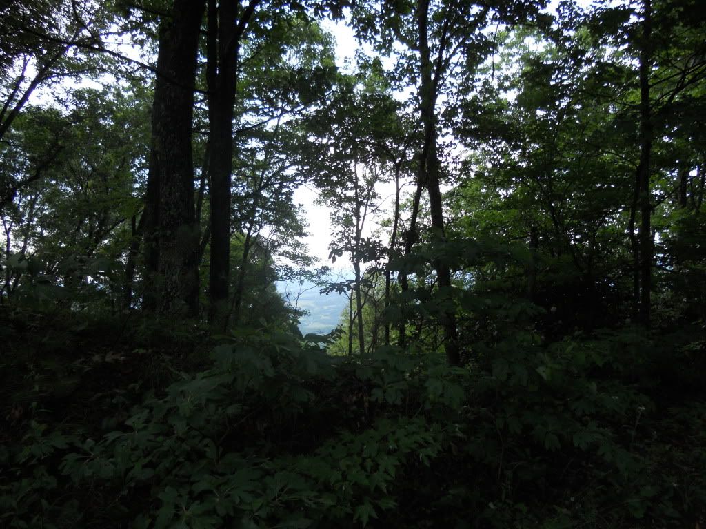 DSCN0582.jpg