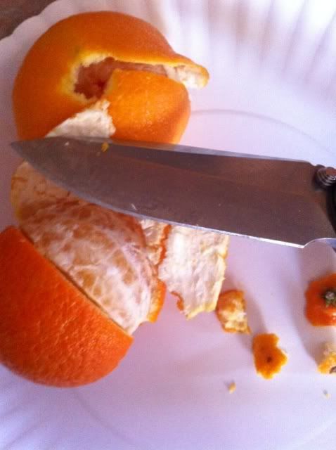 image-57.jpg
