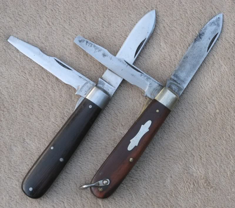 TL-29.jpg