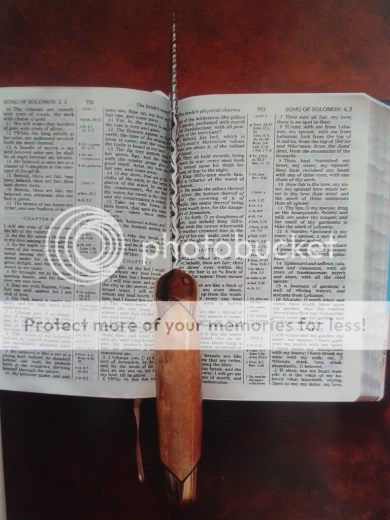 2012-02-17173849.jpg