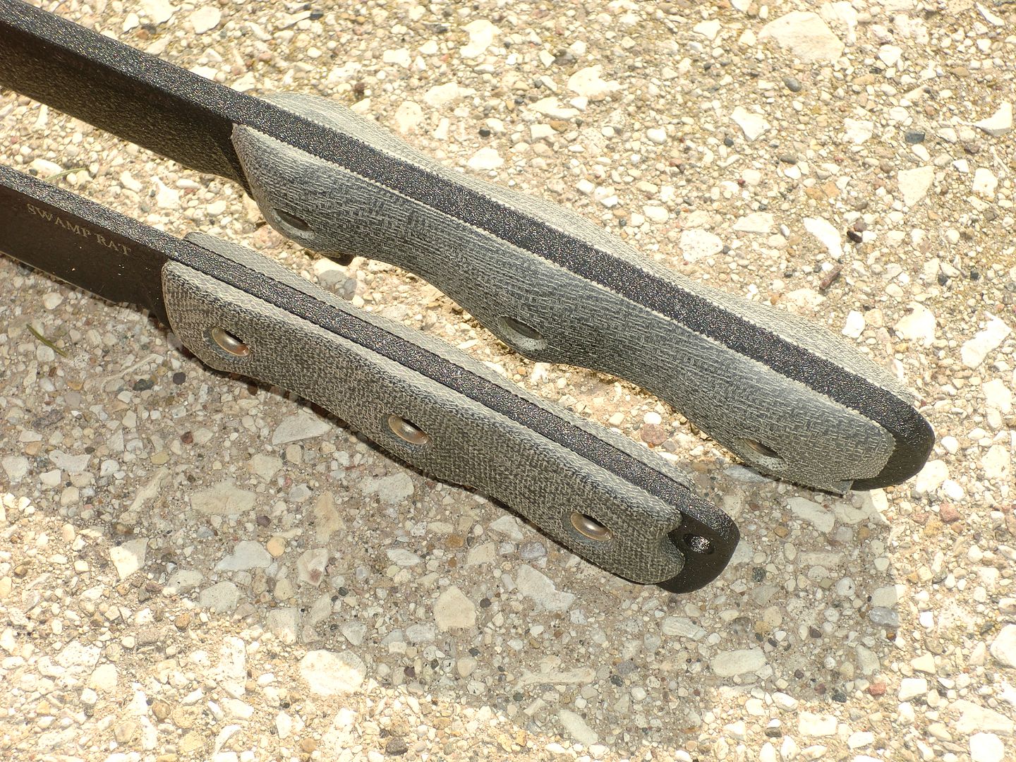 CIMG0497.jpg