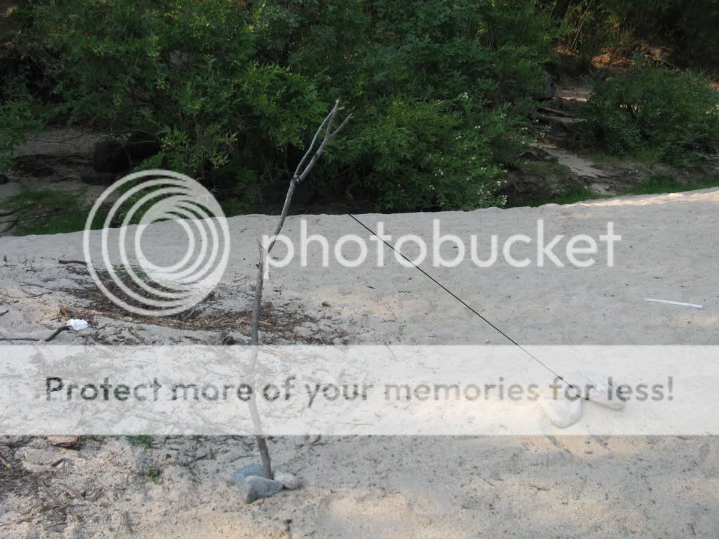 Picture176.jpg