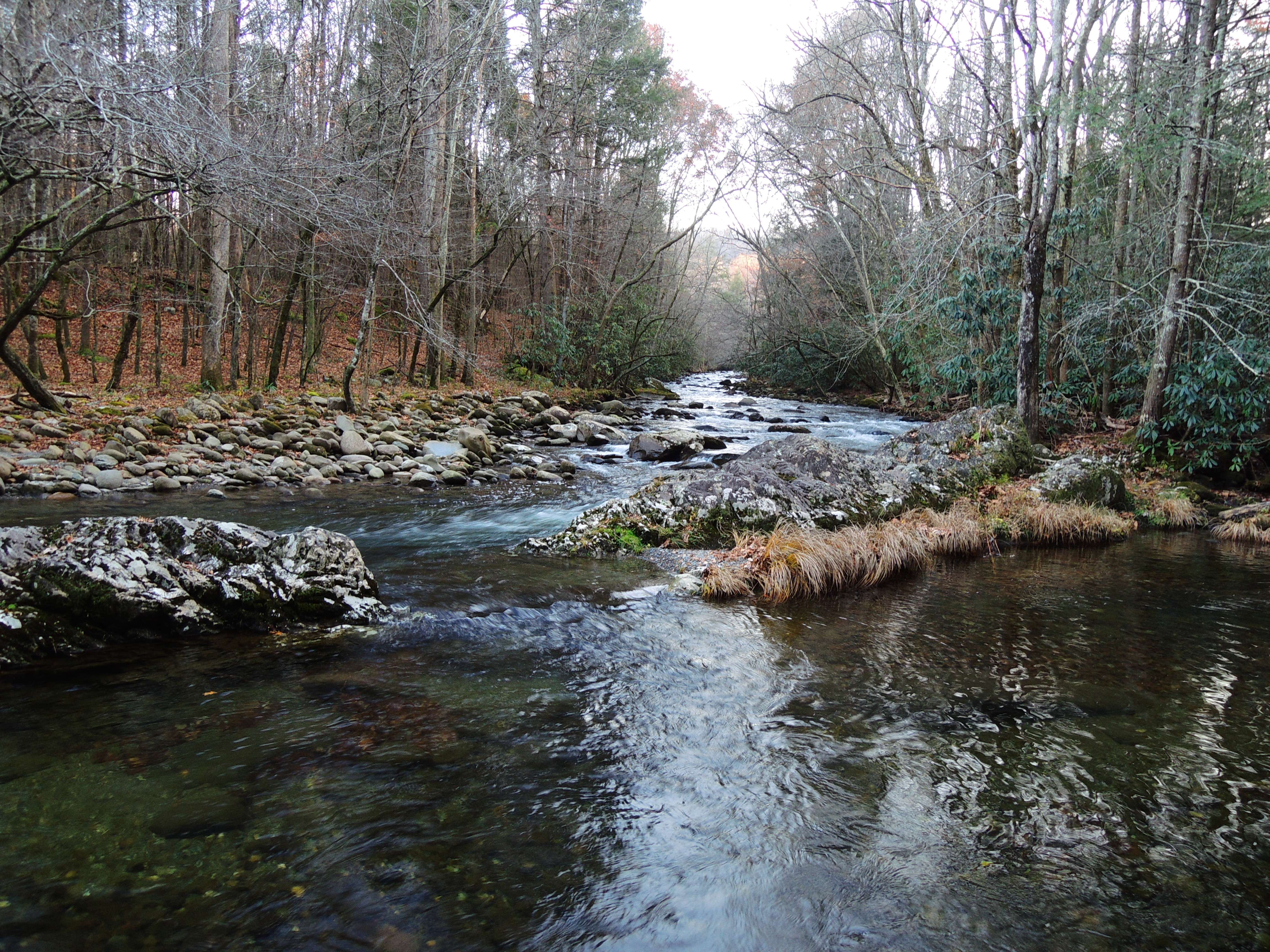 dscn3230t.jpg