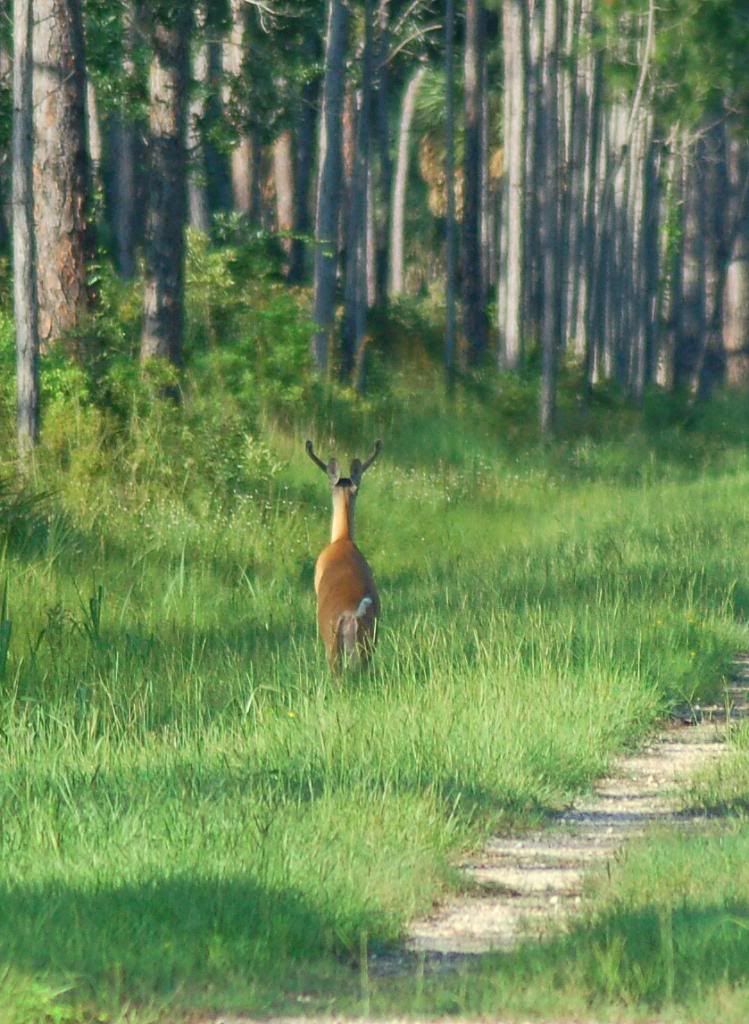 DSC_0112.jpg