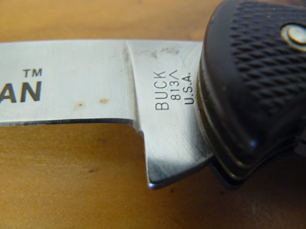 P1050158.jpg