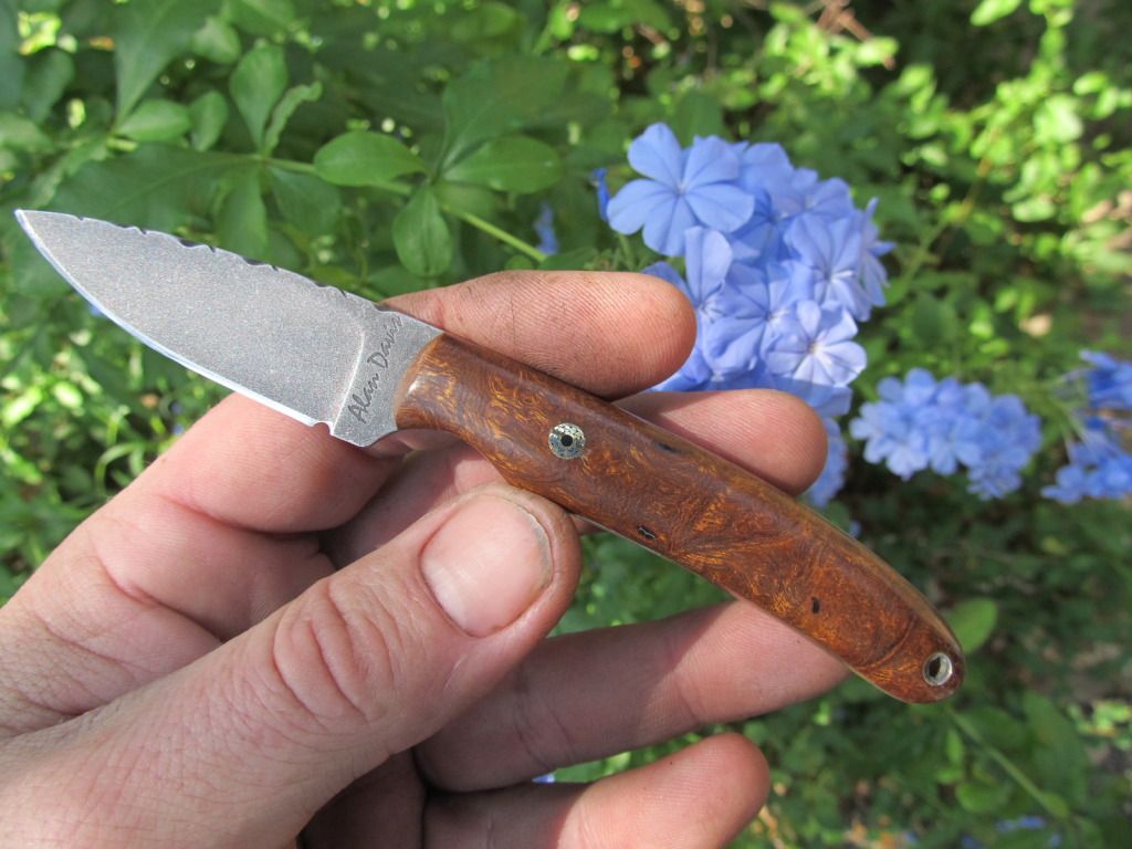 ironwoodburlminiedc021.jpg