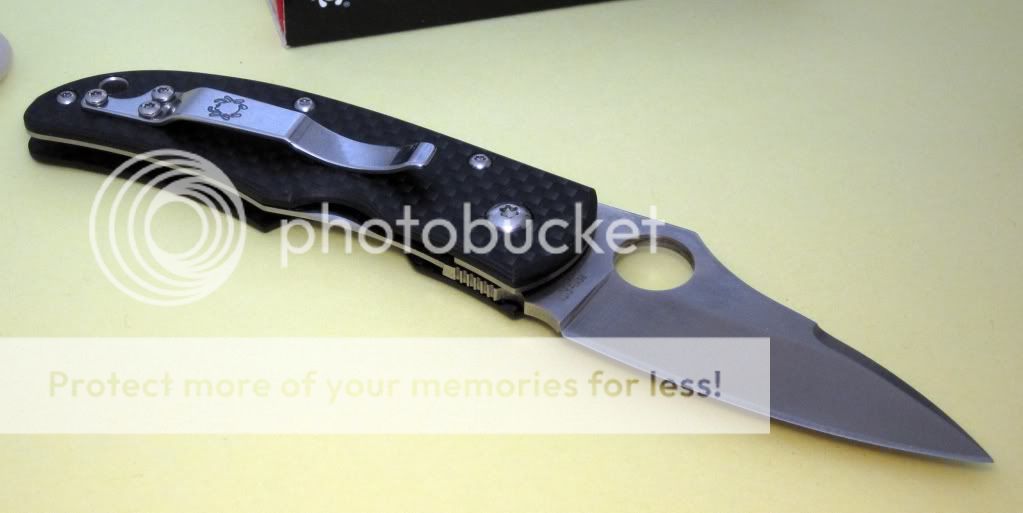 ZDPWalker011p.jpg