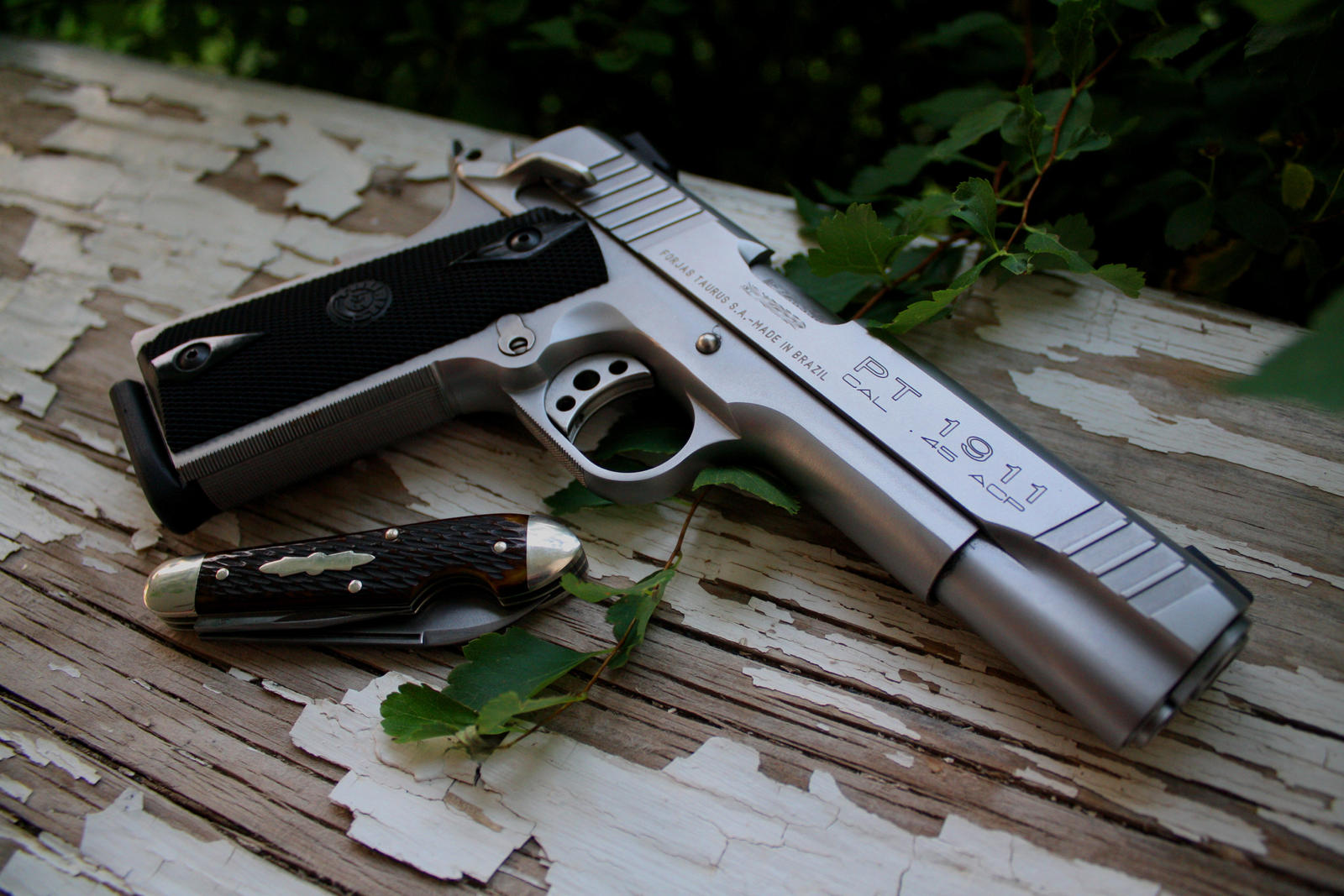 my_carry_pistol_5_by_wolfie_83-d6bh0ad.jpg
