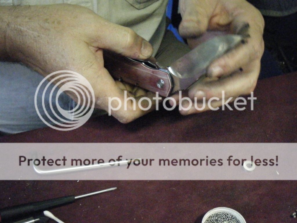 DSCF3935_zpsb9c55eb5.jpg