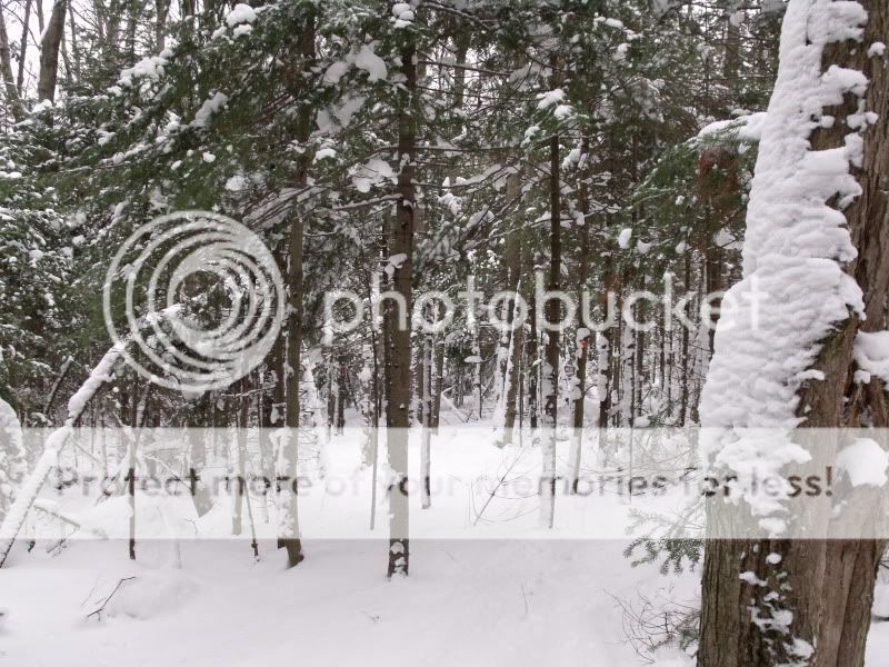 firstsnowshoe2009002.jpg