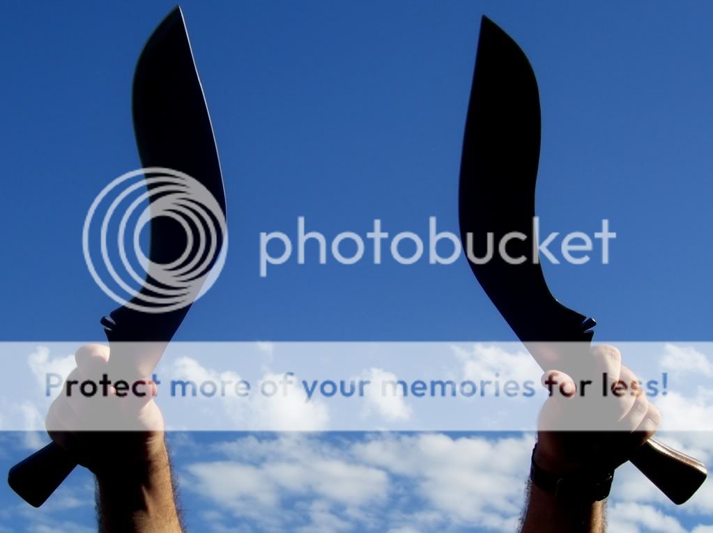 100_8964.jpg