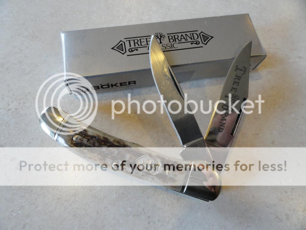 DSC02199_zps3ad9cb34.jpg