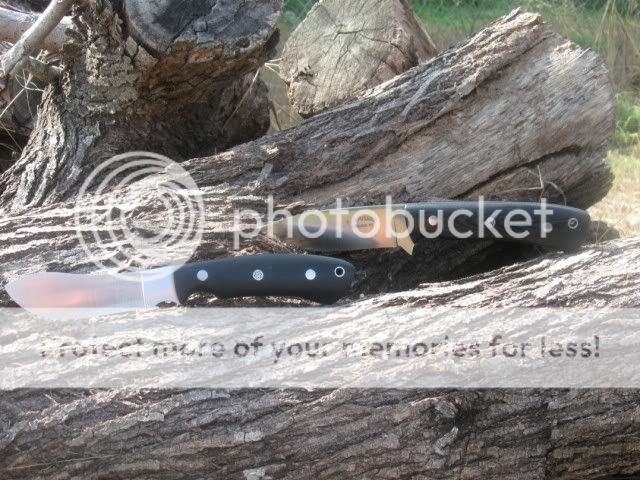 Picture2671077x808.jpg