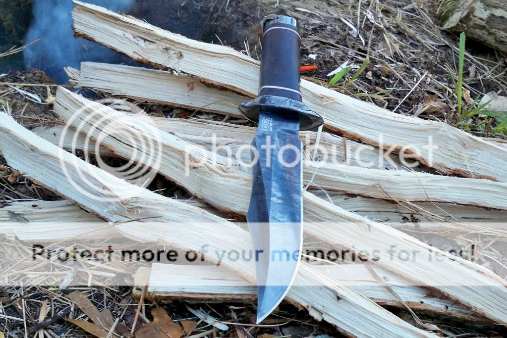sog110.jpg