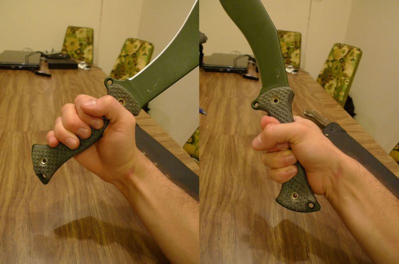z1.jpg