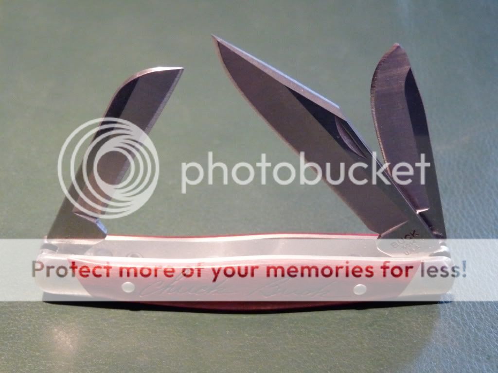 buck3013.jpg