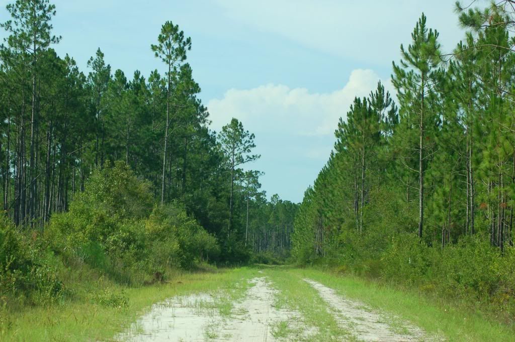 DSC_0183.jpg
