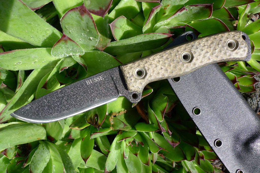 Bm4QoCk.jpg