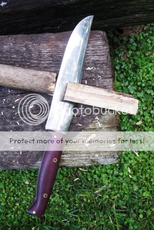 DPmountaineer015.jpg