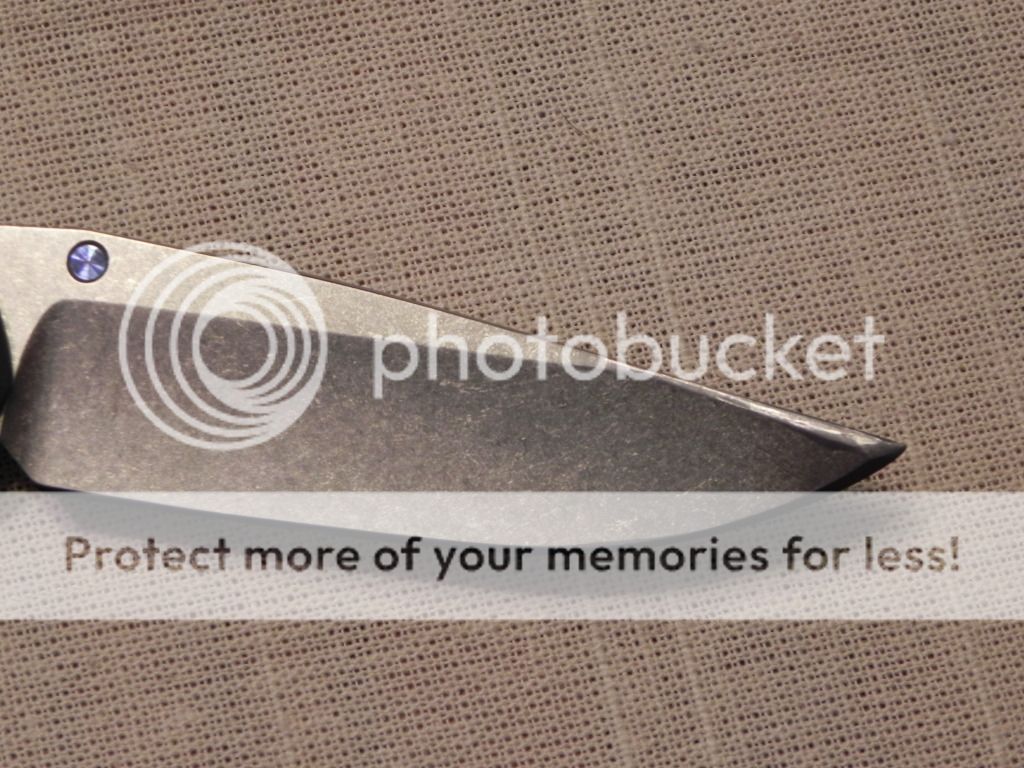 DSCN1724_zpsc505d311.jpg