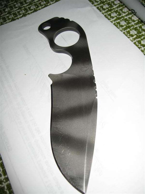 img3611medium.jpg