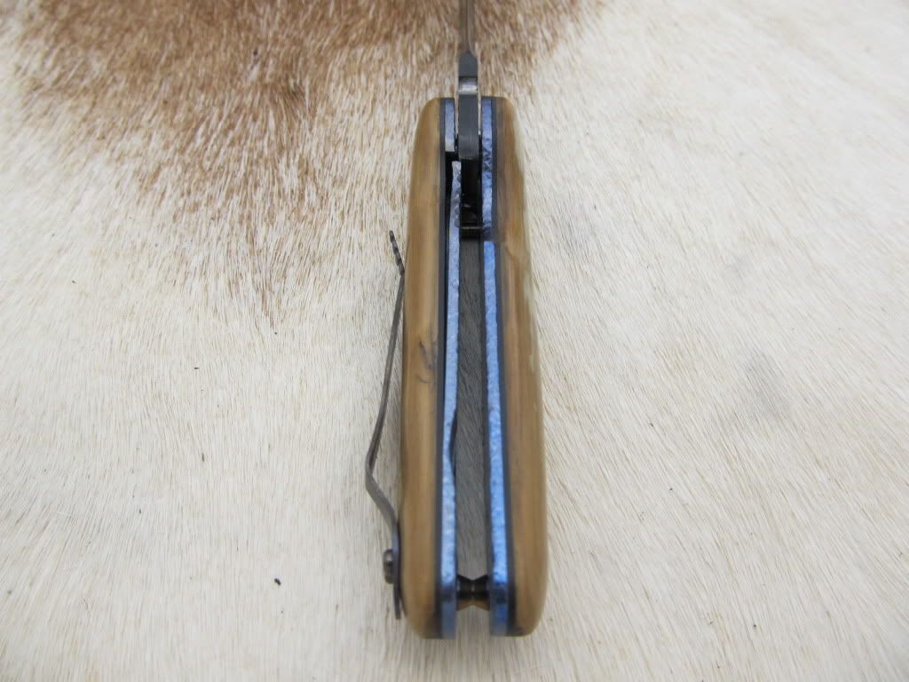 Damascusmammothfolder038.jpg