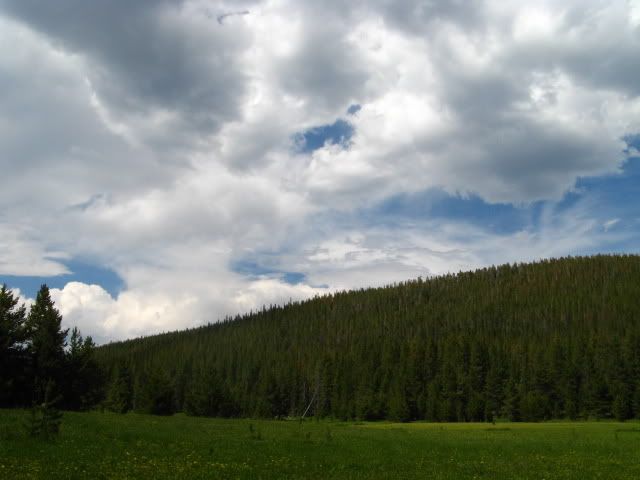 IMG_5669.jpg