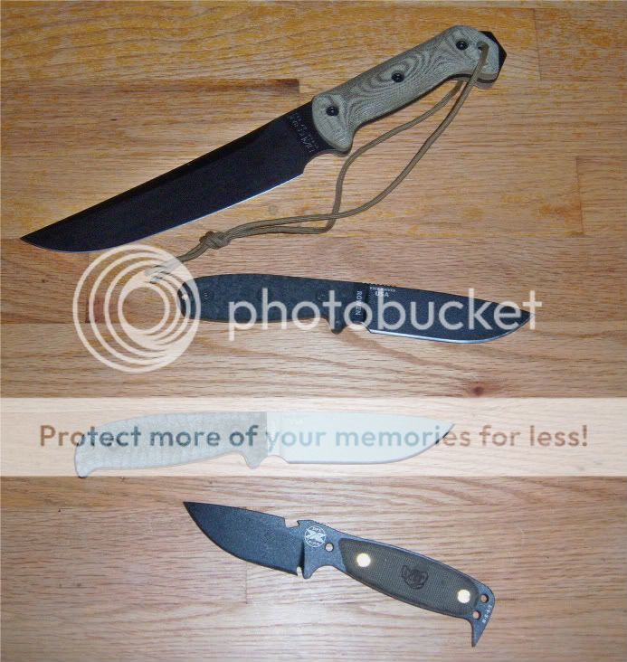 esee002.jpg