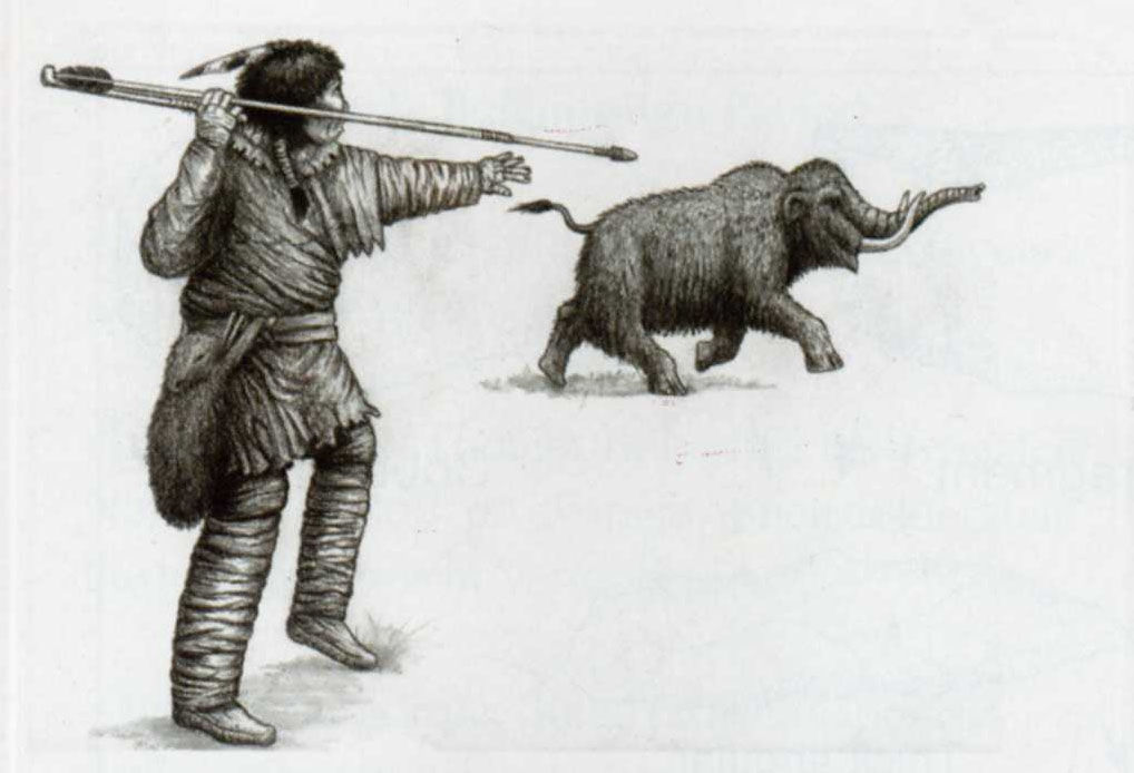 paleo-lg.jpg