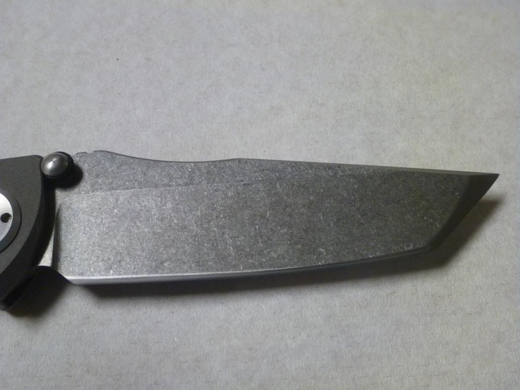 P1000259_zps6fdd04c0.jpg